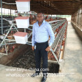 Chicken cage 120 birds 3 tier or 256 birds chicken cage hot sale in Zimbia